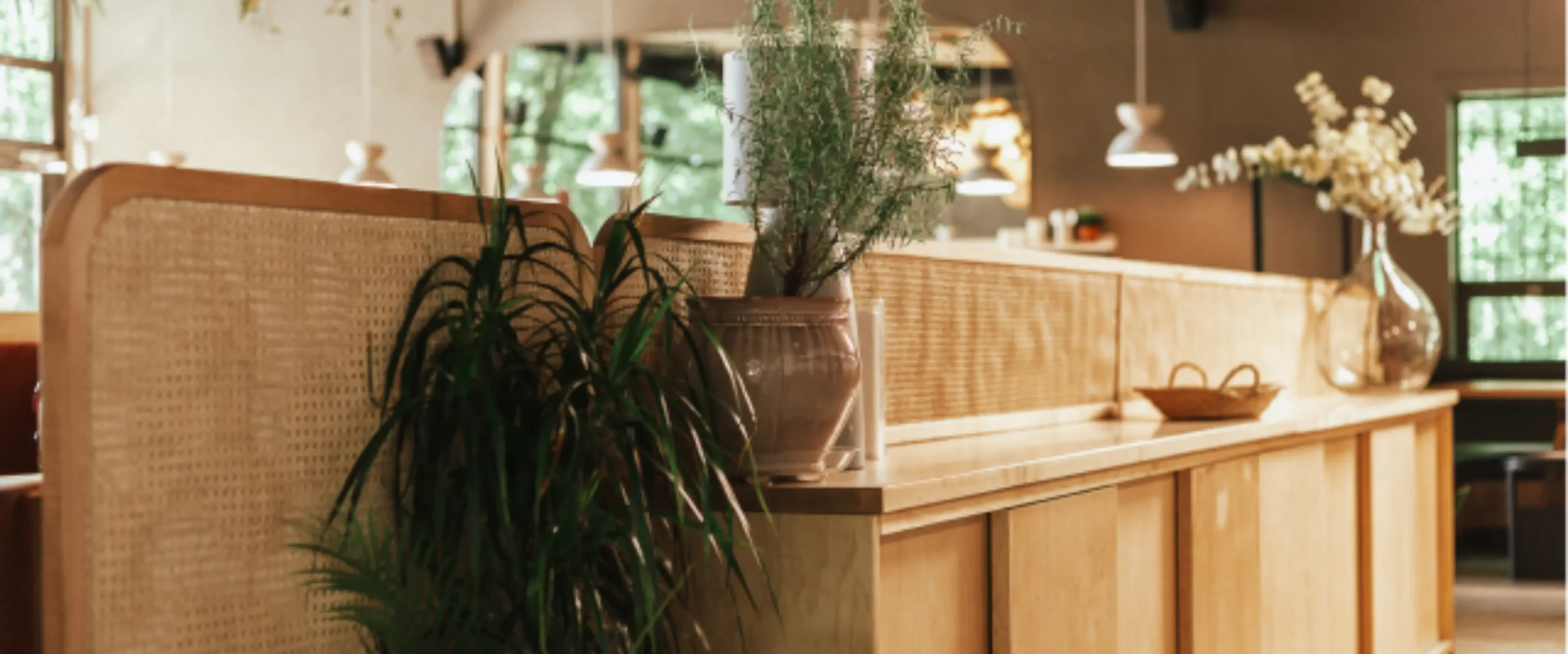 A stylish Ottawa interior with plants, wood accents, and custom furniture, showcasing the natural charm of live edge tables.